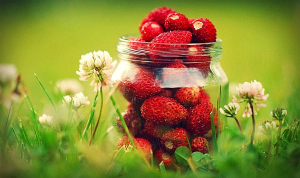 Obesità e sovrappeso, lotta contro l'ago della bilancia