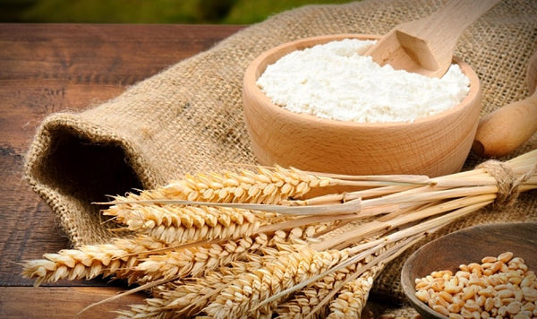 4 motivi per cui la farina di grani antichi è meglio delle altre