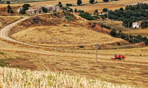 Chi è AmoreTerra, l'anima e il cuore della filiera biologica