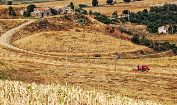 Chi è AmoreTerra, l'anima e il cuore della filiera biologica