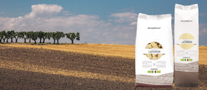 Pasta tradizionale "LaGranum"