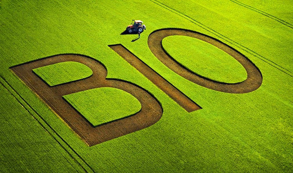 Tutto ciò che devi sapere sul biologico.