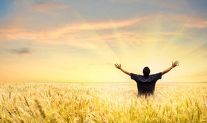 Quello che le aziende bio non dicono