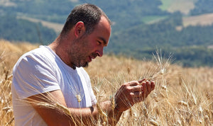 Che cosa sono i grani antichi