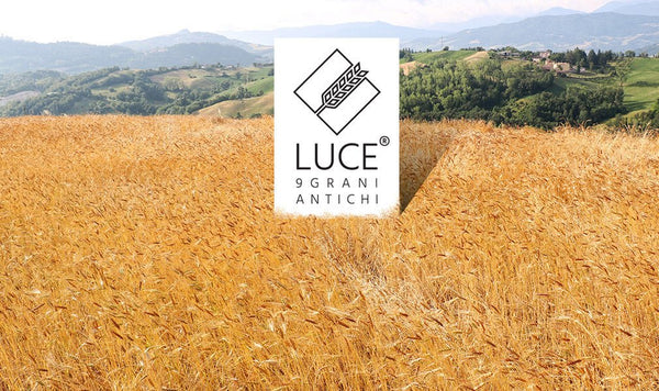 Farina Luce® nata da 9 grani antichi