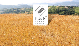 Farina Luce® 9 grani antichi nello stesso campo.