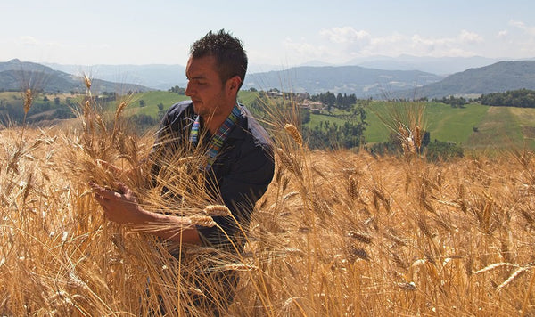 8 motivi fondati per scegliere i grani antichi