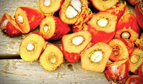 Olio di palma, i pro e i contro