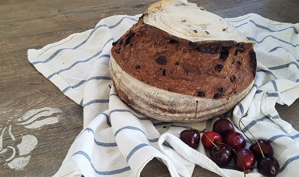 PANE CIOCCOLATO & CILIEGIE Gentil Rosso