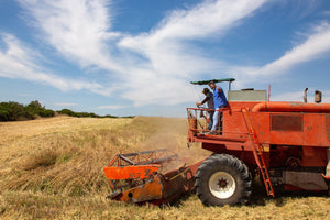 (offerta) 12 Pz. Tutta Pasta BIO LaGranum (varie tipologie) - grano duro, artigianale - Bio Tot.6Kg. - AmoreTerra shop