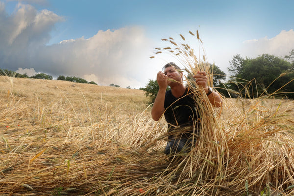 (offerta) 6 Pz. Eliche bio 