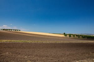 Passata di pomodoro Bio - 330g - AmoreTerra shop