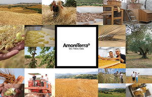 Selezione Best Seller | Pasta Senatore Cappelli Bio | 18 Pz da 500g | Amoreterra - AmoreTerra shop