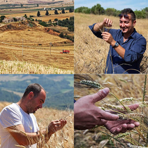 (offerta) 6 pz. Cornetti bio "LaGranum" - artigianale, BIO, grano italiano 500g. - AmoreTerra shop