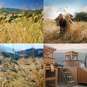 Eliche integrali S. Cappelli, BIO, artigianali | AmoreTerra €3.25 AmoreTerra