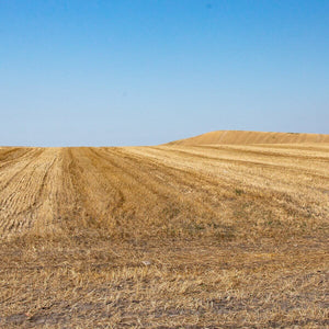 Trofie artigianali, Bio, grano 100% italiano | AmoreTerra €2.9 AmoreTerra