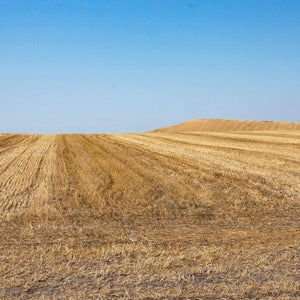 Mezze maniche artigianali "La Tradizionale" Bio | AmoreTerra €2.75 AmoreTerra