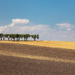 Tubetti rigati artigianali "La Tradizionale" Bio| AmoreTerra €2.75 AmoreTerra