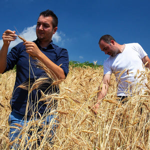 Trucioli di Luce, ceci e finocchio (regionali) - artigianale, BIO, grani antichi, 100% grano italiano, lenta essiccazione. €3.3 AmoreTerra