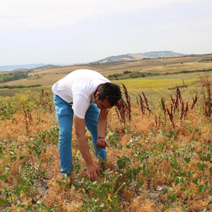 Lenticchie piccole rosse italiane BIO | AmoreTerra €3.4 AmoreTerra