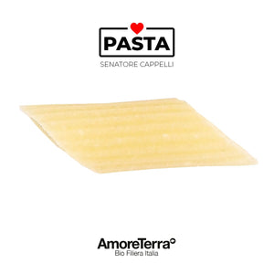 Mezze penne Cappelli, BIO, handwerklich | AmoreTerra €3.25 AmoreTerra