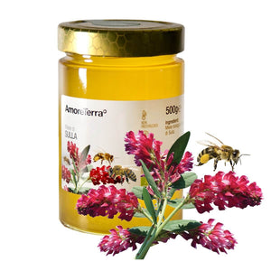 Miele crudo di Sulla BIO | AmoreTerra €14.5 AmoreTerra