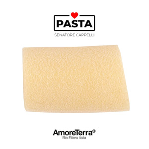 Paccheri S. Cappelli, BIO, artigianale | AmoreTerra €3.8 AmoreTerra