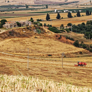 Offerta 10 Pz. Pasta artigianale proteica BIO | AmoreTerra €28.38 AmoreTerra