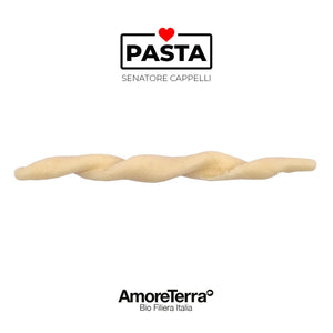 Trofie Senatore Cappelli, BIO, artigianale | AmoreTerra €3.4 AmoreTerra