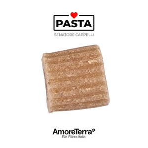 Offerta 12 Pz Pasta S. Cappelli Bio artigianale | AmoreTerra €36.66 AmoreTerra